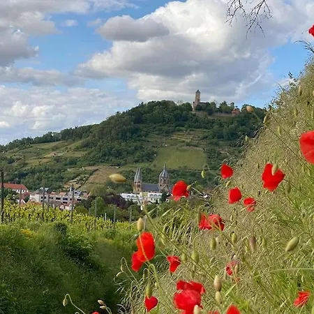 Acapella Suite Barcarolle 60Qm, Direkt Am Weinberg, Altstadt, Netflix Inklusive Heppenheim  Exterior photo