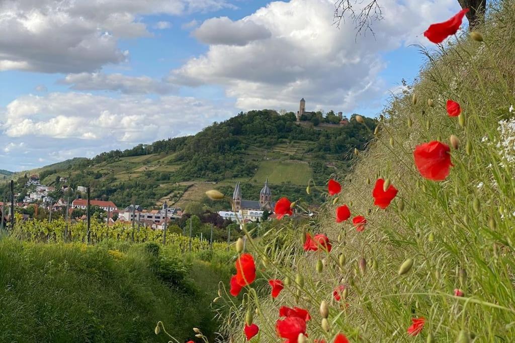 Acapella Barcarolle 60qm, Direkt Am Weinberg, Altstadt, Netflix Inklusive Apartment Heppenheim (Bergstrasse)